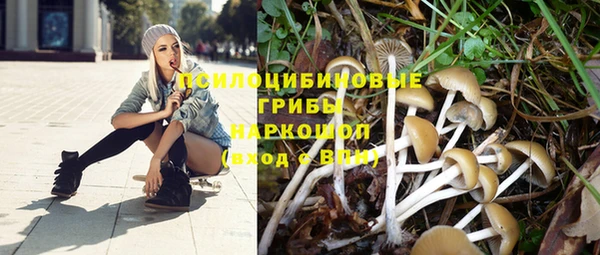 круглые Бородино