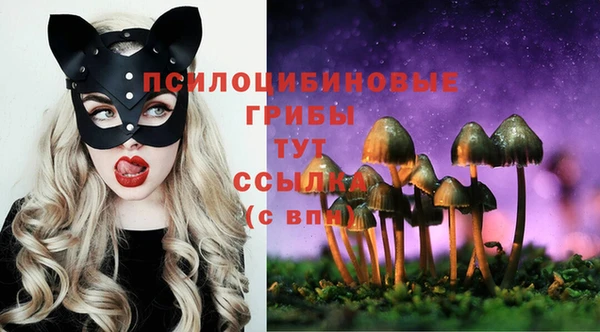 mix Белокуриха
