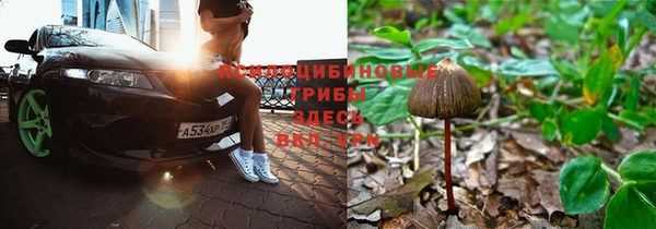 прущая мука Беломорск
