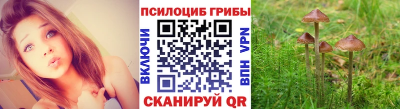 Псилоцибиновые грибы Cubensis  MEGA ссылки  Нижняя Тура  как найти закладки 